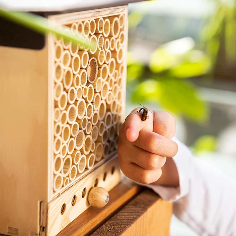 BeeHome Bienenhaus Observer