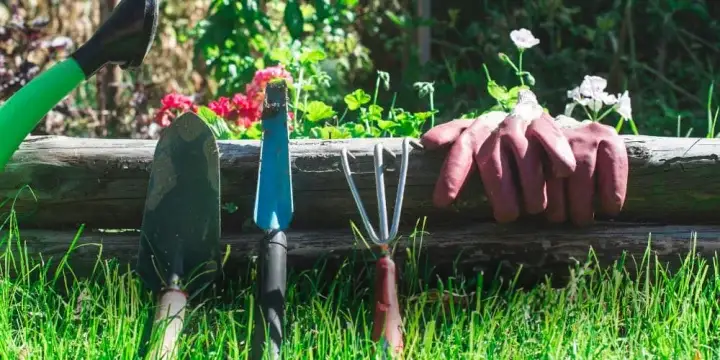 Gartenwerkzeuge