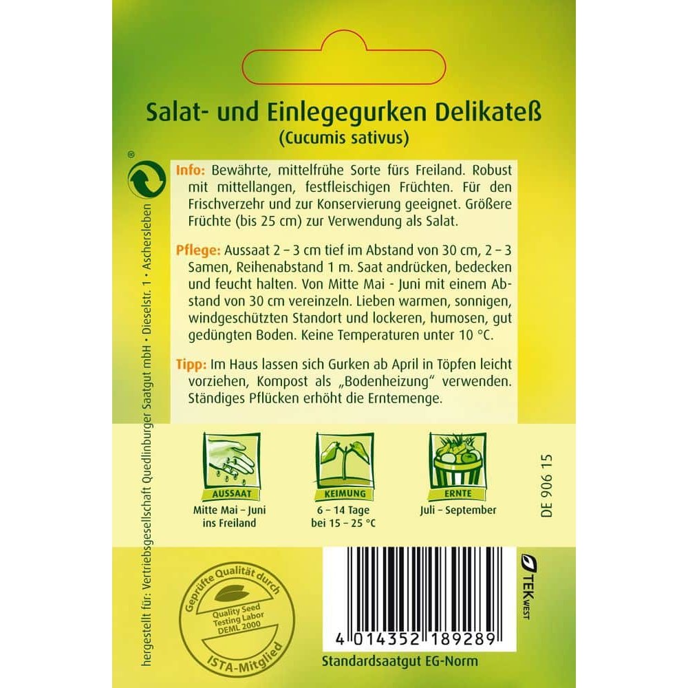 Salat- u. Einlegegurke, Delikatess