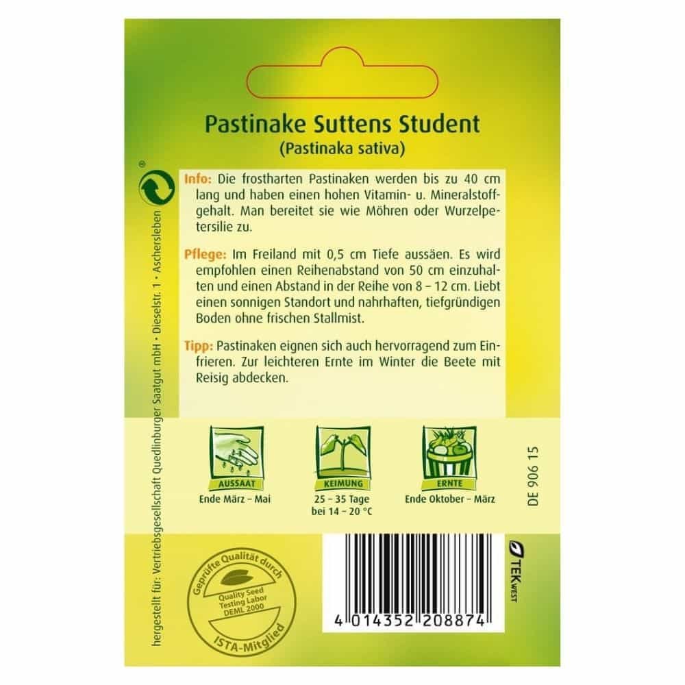 Pastinake, Suttens Student