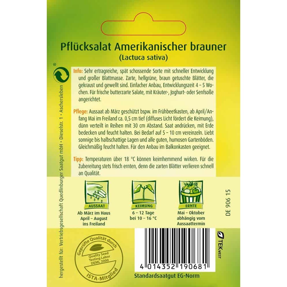 Pflücksalat, Amerikanischer brauner