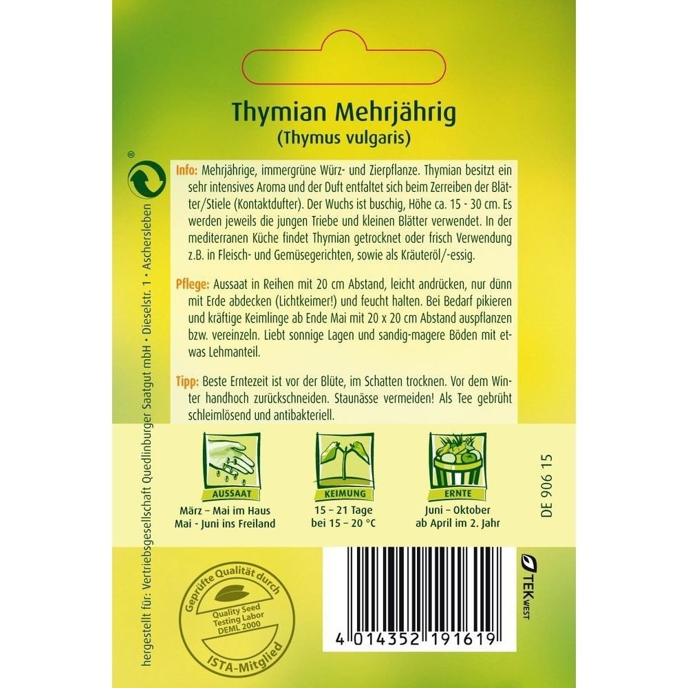 Thymian, mehrjährig