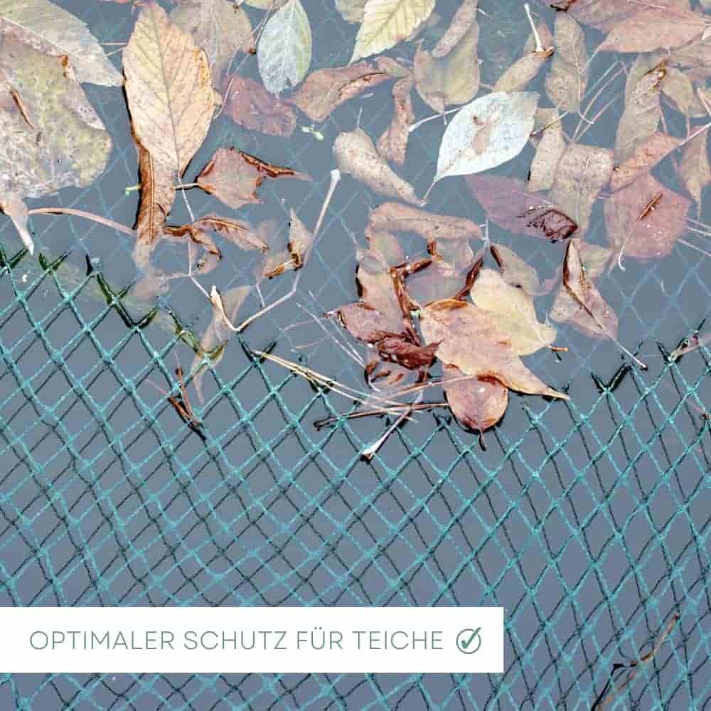 Vogel- und Teichschutznetz 2 m x 3 m (6m²)