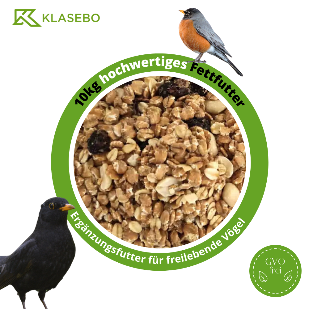 Fettfutter Vögel