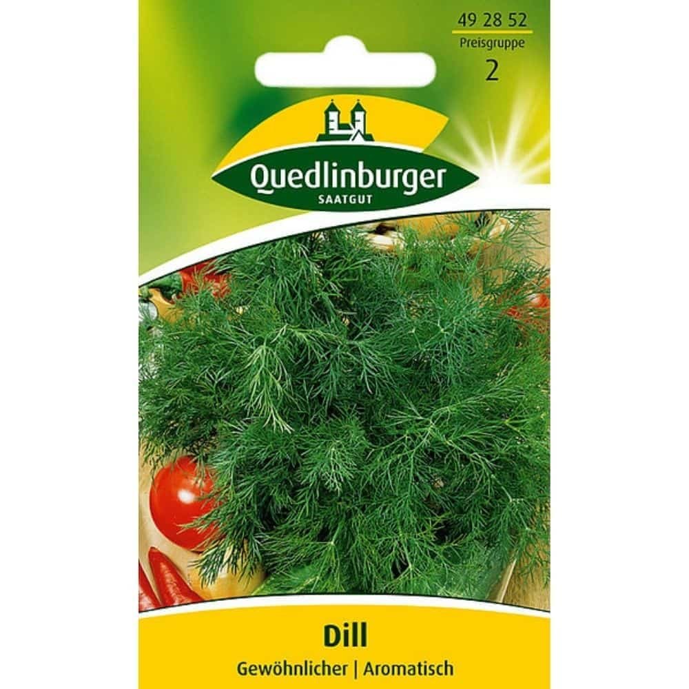 Dill, Gewöhnlicher