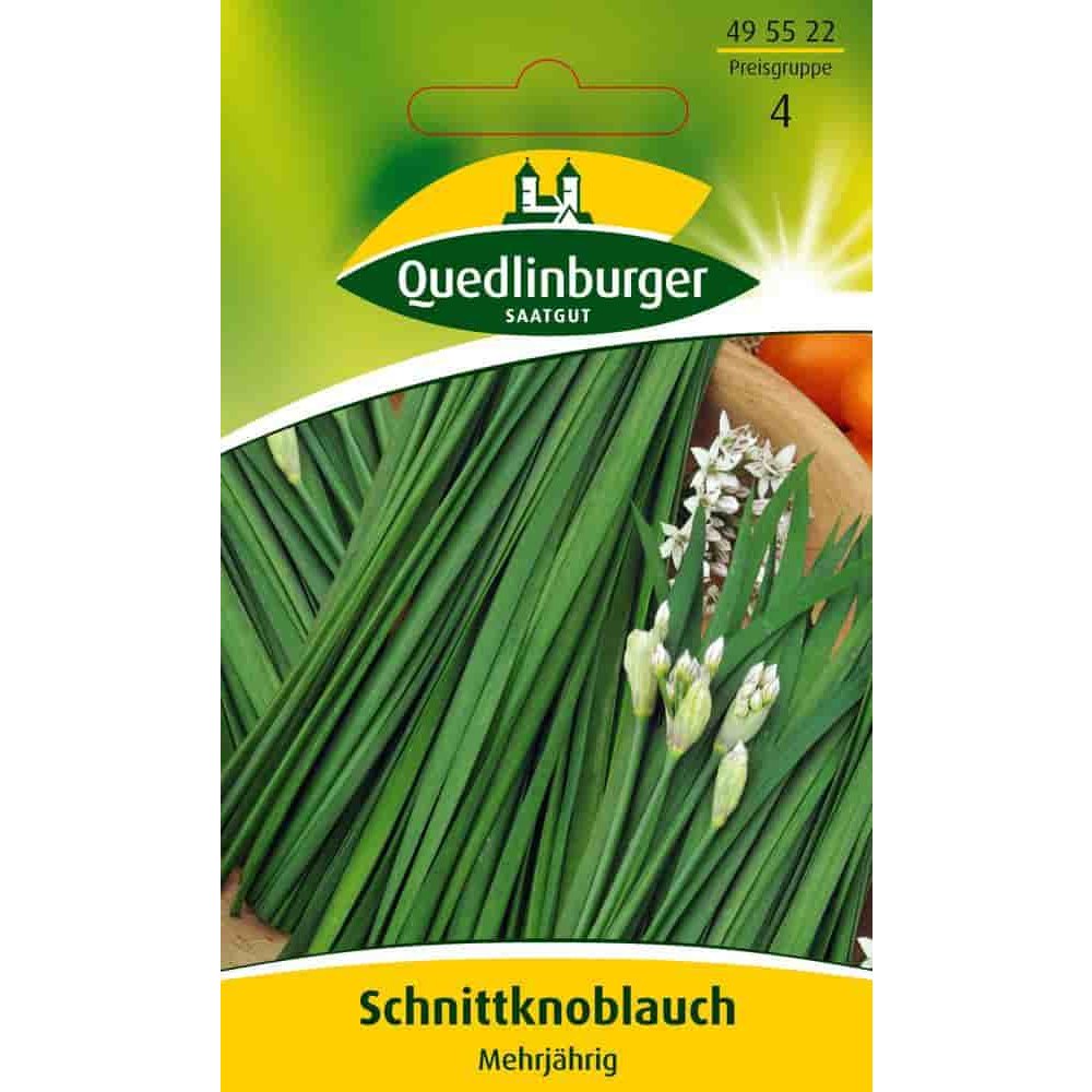 Schnittknoblauch, mehrjährig