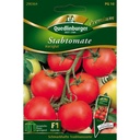 Stabtomate, Harzglut F1