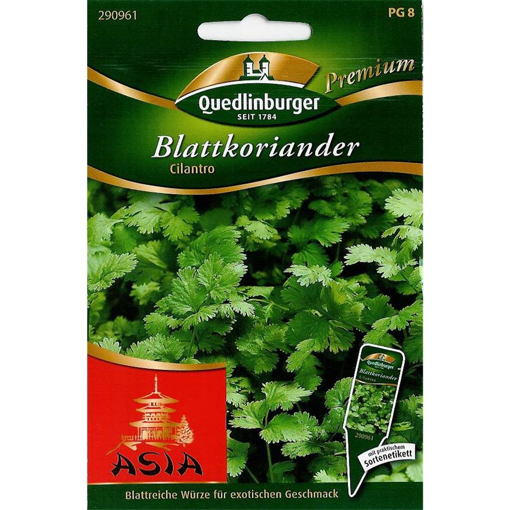 Blattkoriander, Cilantro