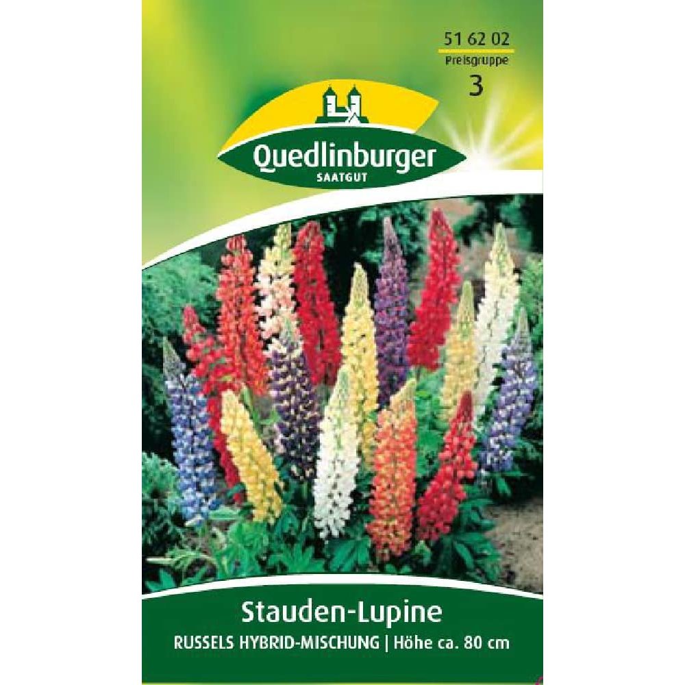 Stauden-Lupine, Russels Hybrid-Mischung