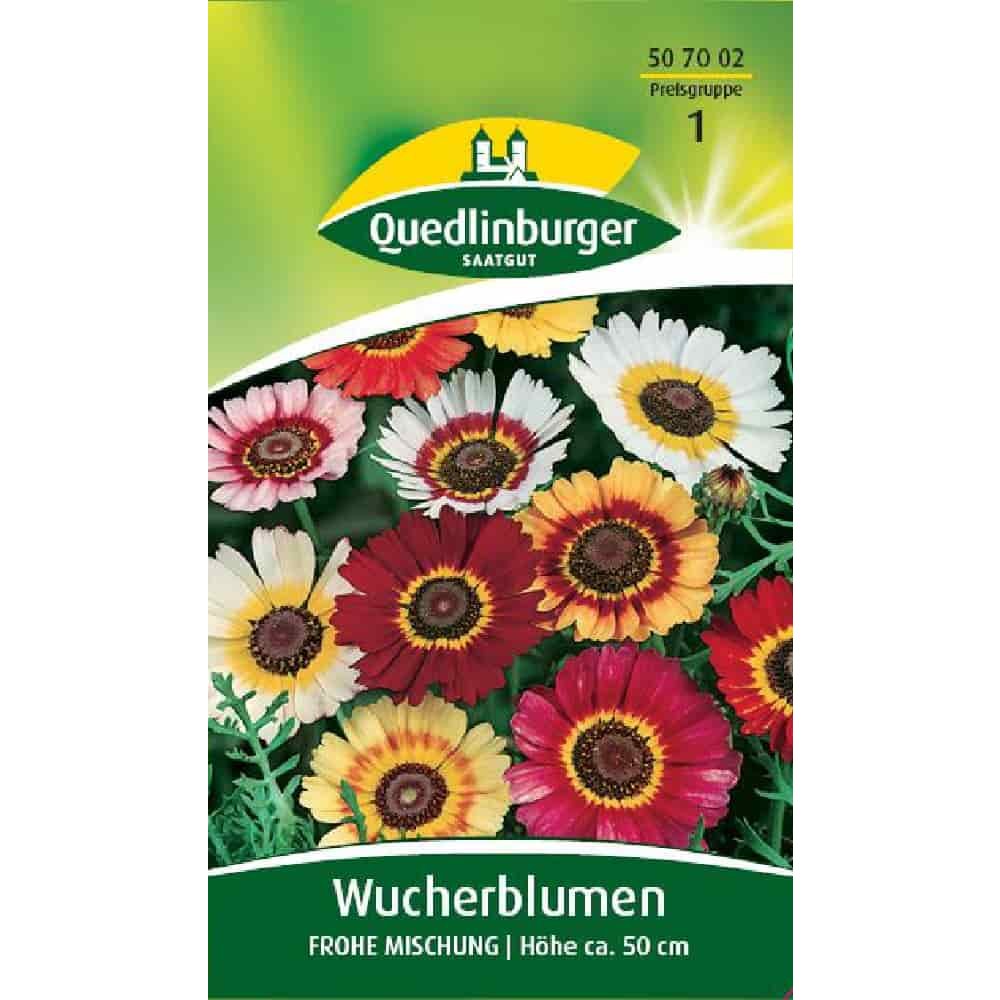 Wucherblume, Frohe Mischung