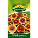 Kokardenblume, Großblumige Prachtmischung