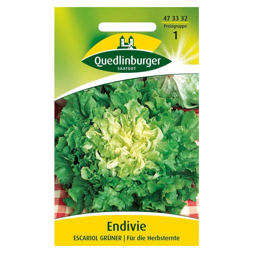 Endivie, Escariol grüner