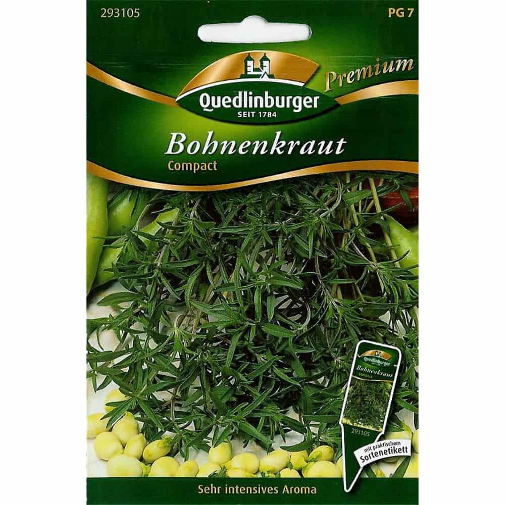 Topf- Bohnenkraut, Compact