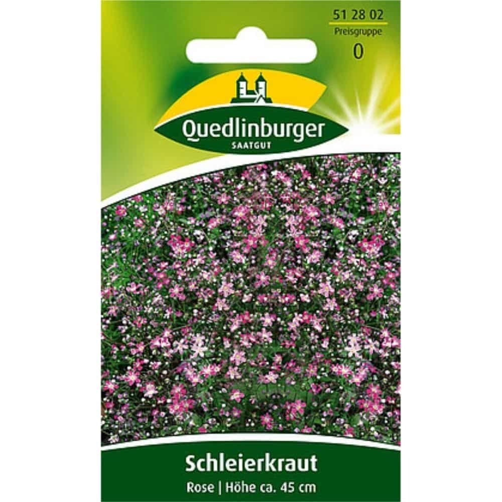 Schleierkraut, Rose