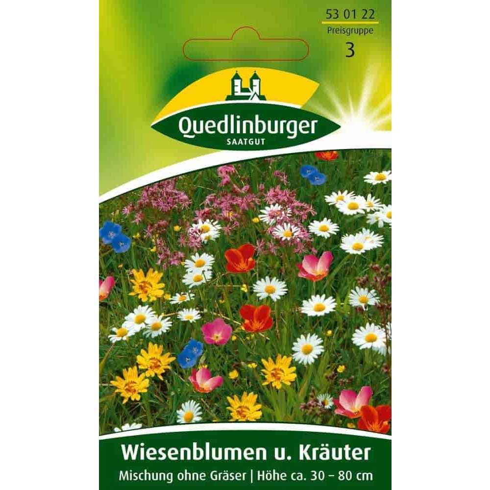 Wiesenblumen u. Kräuter, Mischung ohne Gräser