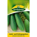 Salat- u. Einlegegurke, Delikatess