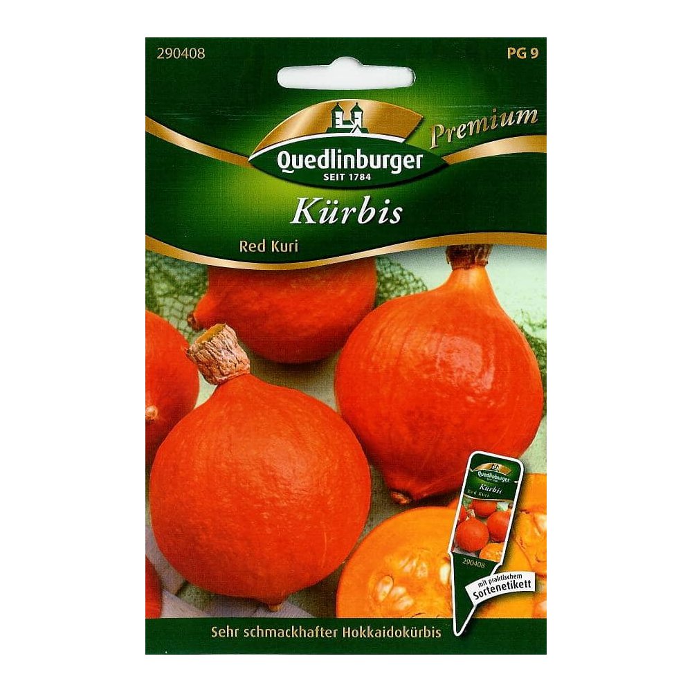 Kürbis, Red Kuri