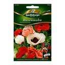 Riesenmohn Prachtmischung