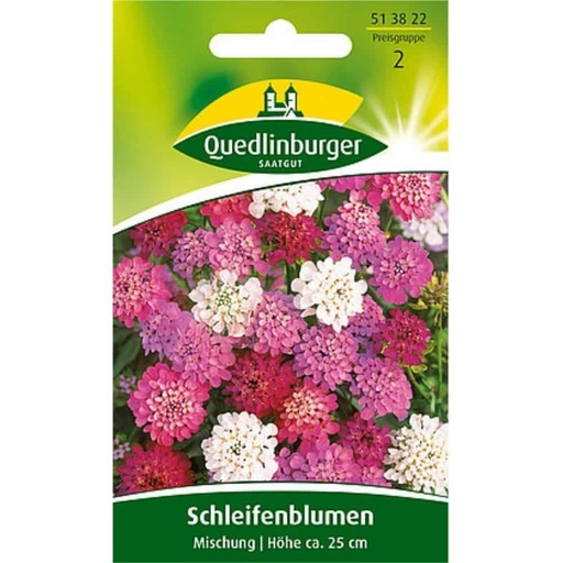 [BONI-513822] Schleifenblume, Mischung