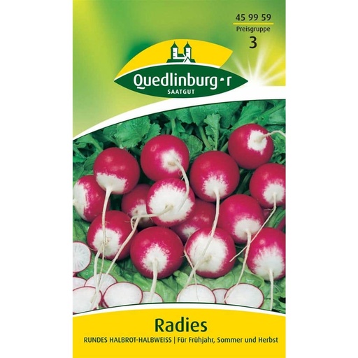 [BONI-459959] Radies, Rundes, halbrot-halbweiß