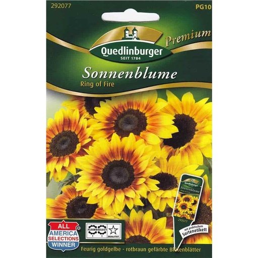 [BONI-292077] Sonnenblumen, Ring of fire