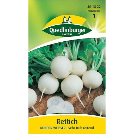 [BONI-461822] Rettich, Runder weißer