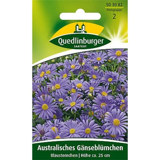 [BONI-503082] Australisches Gänseblümchen, Blausternchen