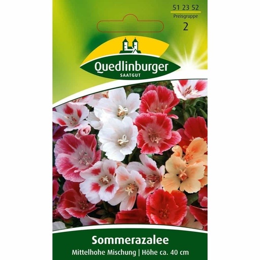 [BONI-512352] Sommerazalee, Mittelhohe Mischung