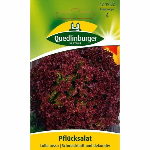 [BONI-471902] Pflücksalat, Lollo rossa