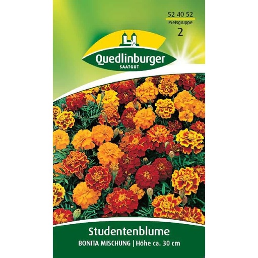 [BONI-524052] Studentenblume, Bonita Mischung