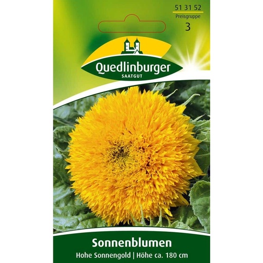 [BONI-513152] Sonnenblume, Hohe Sonnengold