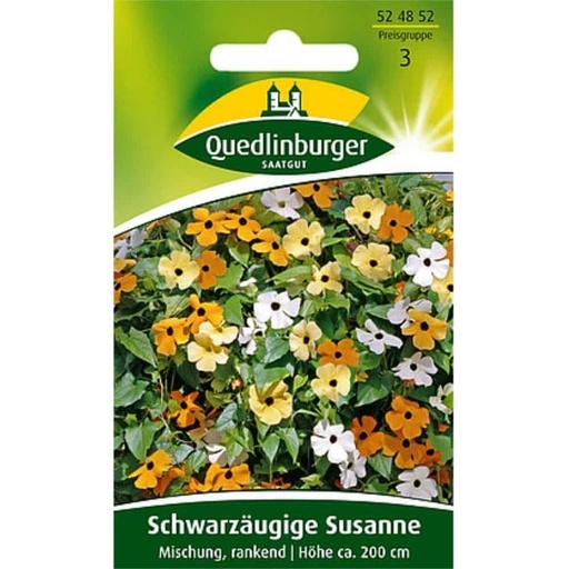 [BONI-524852] Schwarzäugige Susanne, Mischung, rankend