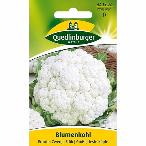 [BONI-421202] Blumenkohl, Erfurter Zwerg