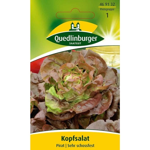 [BONI-469132] Kopfsalat, Pirat