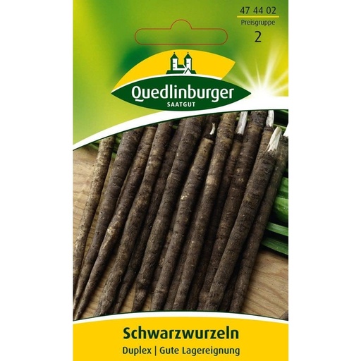 [BONI-474402] Schwarzwurzel, Duplex