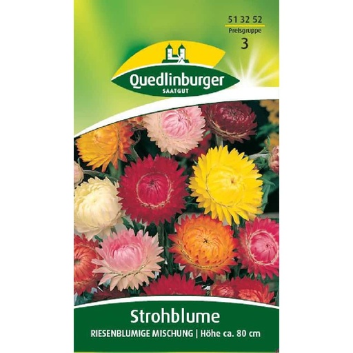 [BONI-513252] Strohblume, Riesenblumige Mischung