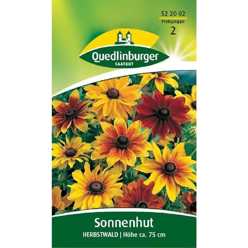 [BONI-522002] Sonnenhut, Herbstwald